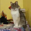 Отзыв от Галина Сотникова